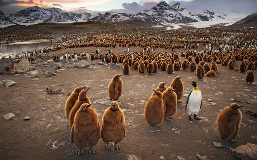 Bulle informationnelle